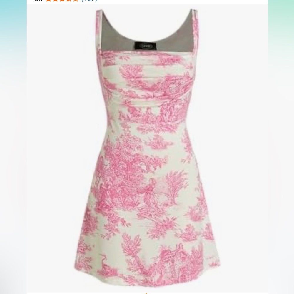 CIDER Toile De Jouy Ruched Mini Dress